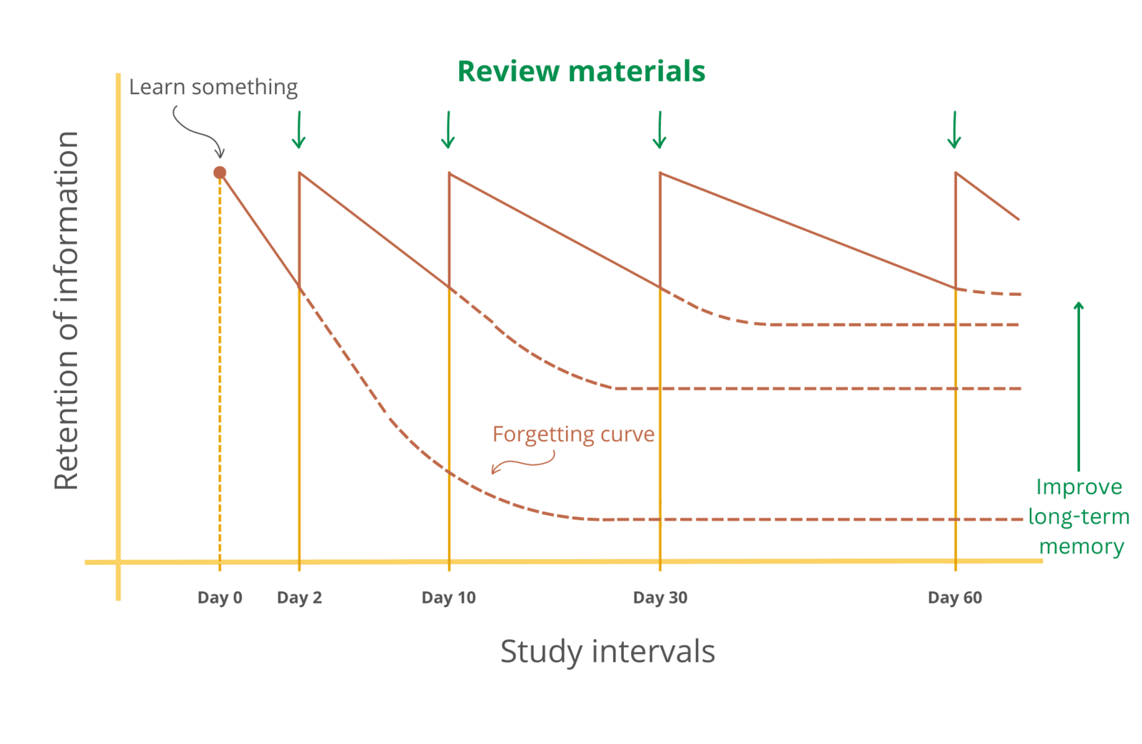 Spaced repetition memory curve illustration